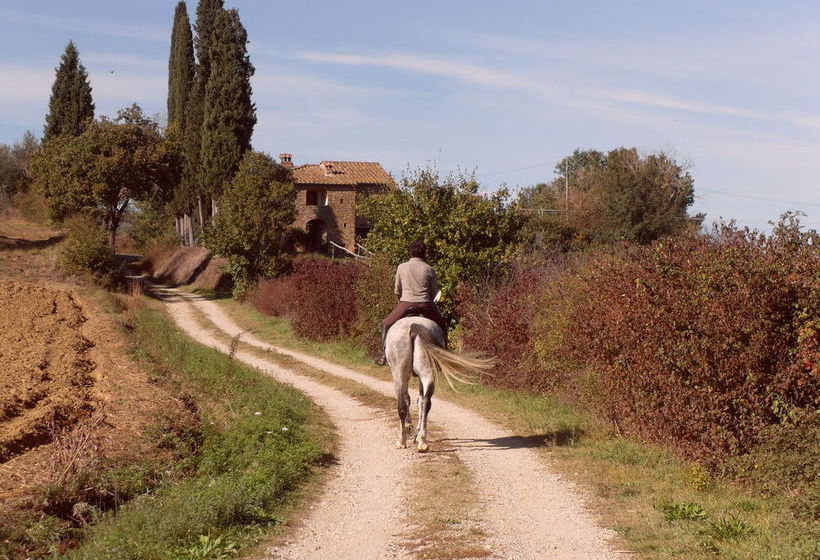 Podere Pievina  | Sinalunga | Siena | Italia 4