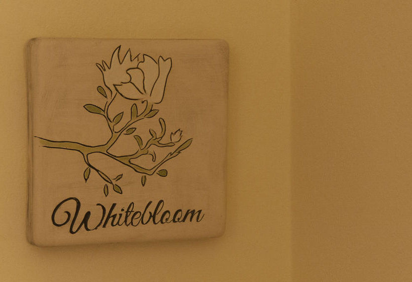 Sweet Inn Central Station  | Roma | Roma | Italia 16