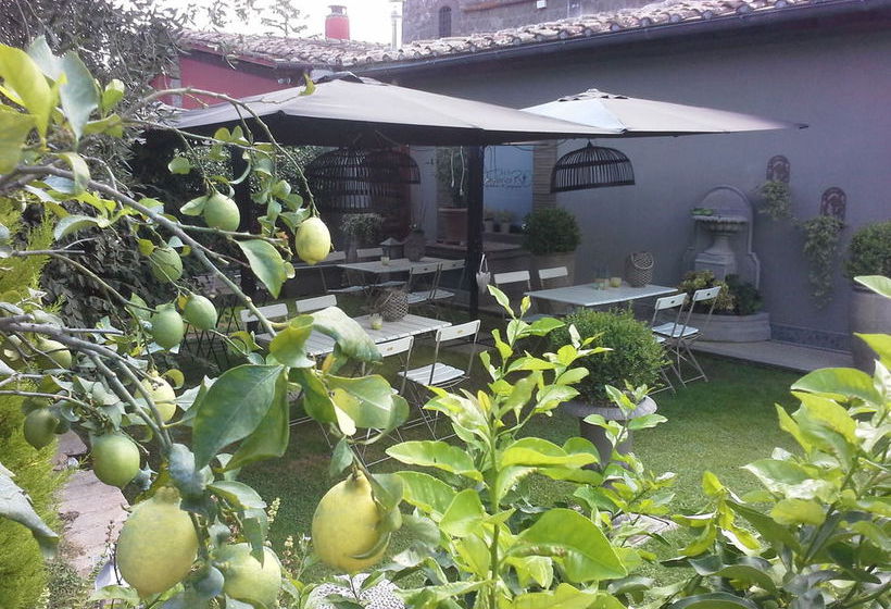 Residenza Teodorico Re B&b  | Viterbo | Viterbo | Italia 10