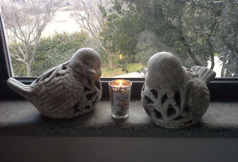 Residenza Teodorico Re B&b  | Viterbo | Viterbo | Italia 2