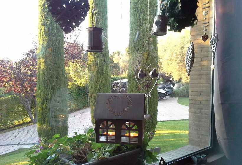 Residenza Teodorico Re B&b  | Viterbo | Viterbo | Italia 3