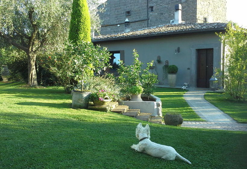 Residenza Teodorico Re B&b  | Viterbo | Viterbo | Italia 9