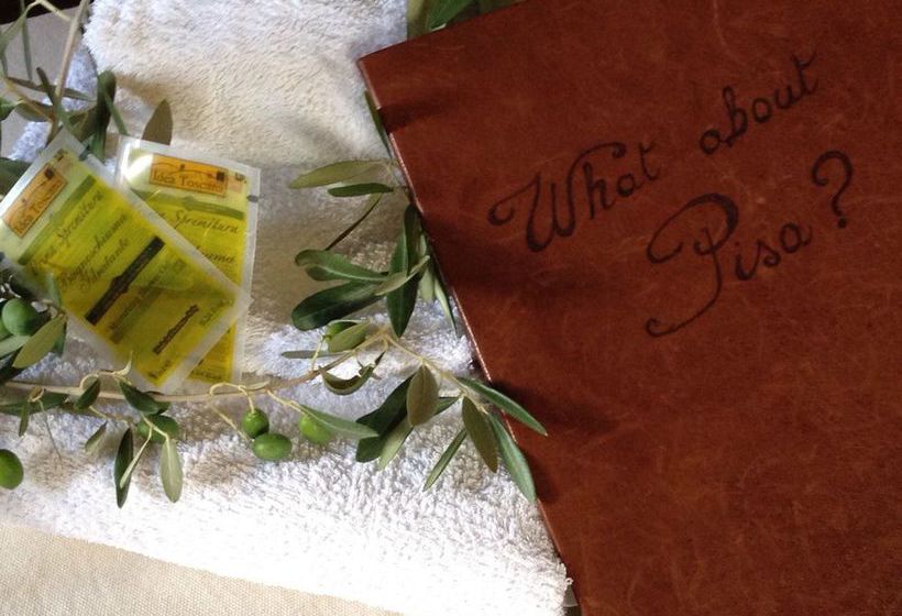 Hotel B&b What About Pisa  | Casciana Terme | Pisa | Italia 12