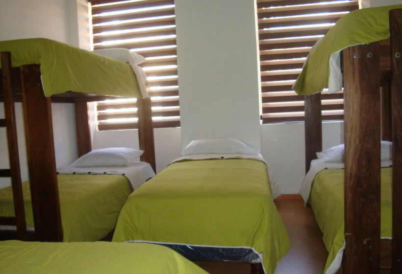 Sofia  | Casole d'Elsa | Siena | Italia 3