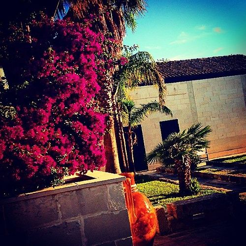 Hotel Masseria Dei Monaci  | Otranto | Lecce | Italia 10