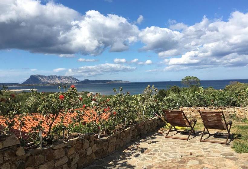 Bed and Breakfast Villa Minda  | San Teodoro | Sardegna | Italia 1