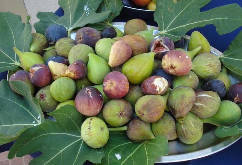 B&b Terra Maris  | Cocumola | Lecce | Italia 11