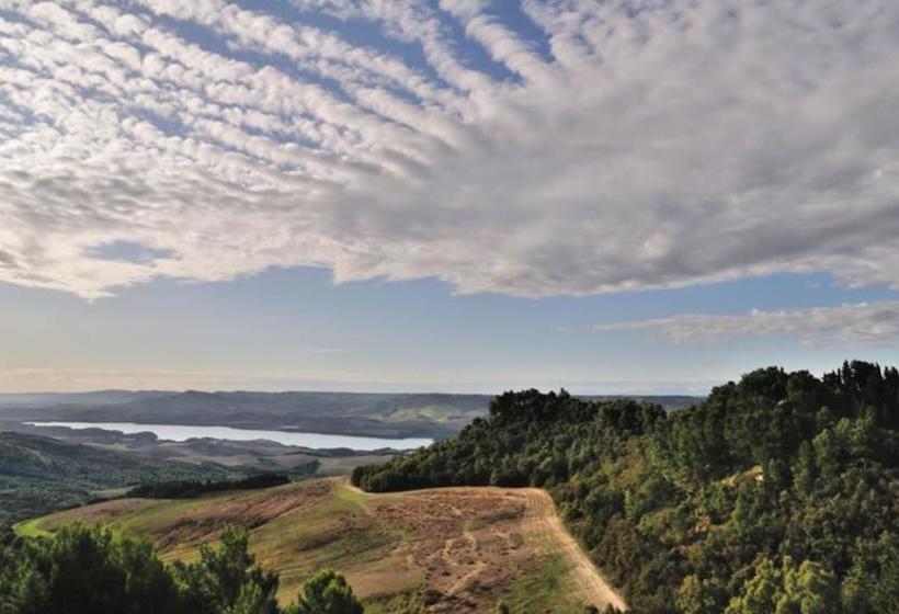 Bed and Breakfast Madre Della Gioia  | Matera | Matera | Italia 19