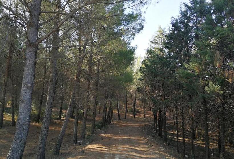 Bed and Breakfast Madre Della Gioia  | Matera | Matera | Italia 9