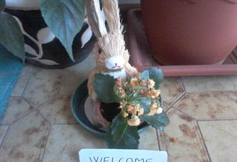 Bed & Breakfast Da Tore  | Nuoro | Sardinia | Italien 4