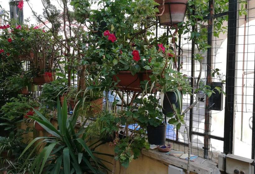 Bed and Breakfast I Due Delfini  | Salerno | Salerno | Italia 8