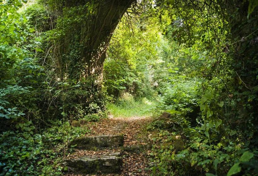 Bed and Breakfast Secret Gardens  | Borgomaro | Imperia | Italia 7