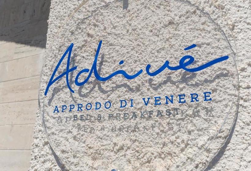 Adivè B&b  | Vieste | Foggia | Italia 12