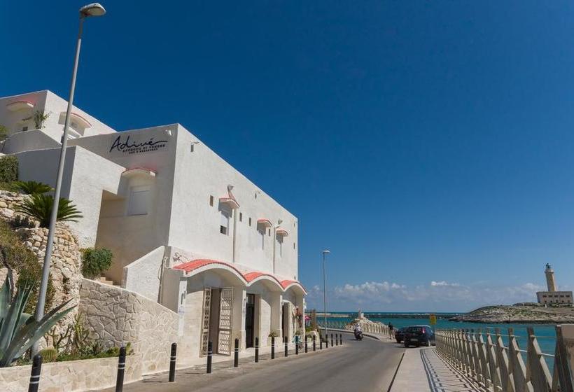 Adivè B&b  | Vieste | Foggia | Italia 15