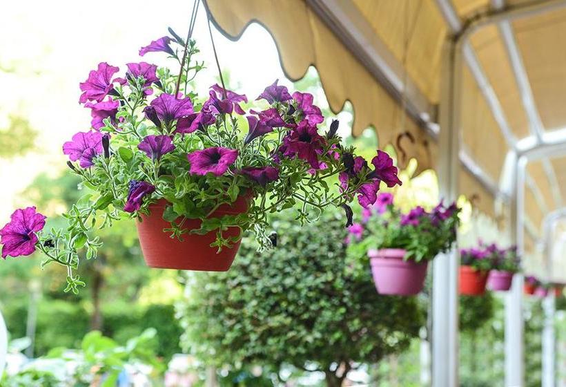 Hotel Terminus Fiuggi 