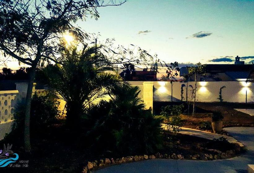 Bed and Breakfast Il Mirto Blu  | Porto Cesareo | Lecce | Italia 1