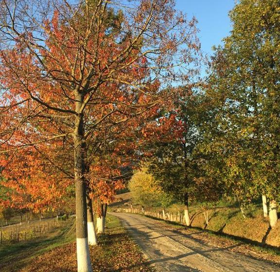 Hotel Villa Tavernago  | Agazzano | Piacenza | Italia 19