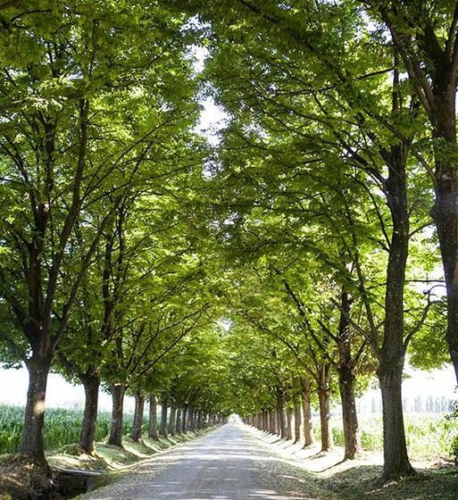 Hotel Villa Tavernago  | Agazzano | Piacenza | Italia 20