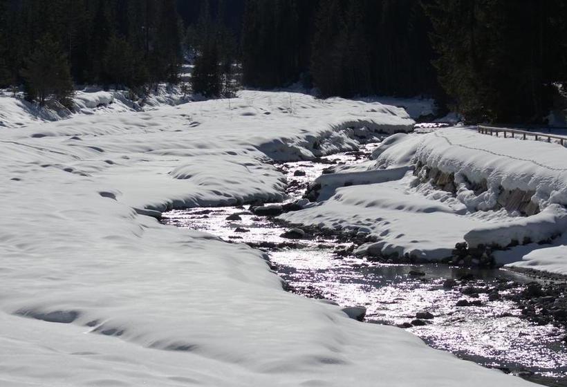 Hotel Albergo Cavallino  | Sappada | Belluno | Italia 10