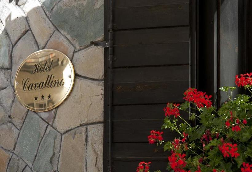 Hotel Albergo Cavallino  | Sappada | Belluno | Italia 2