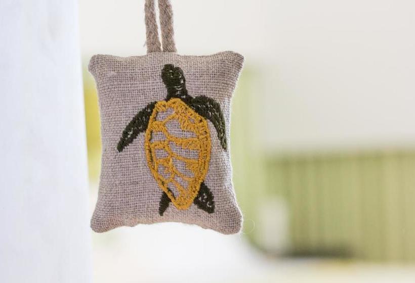 Anita B&b  | Castrignano del Capo | Lecce | Italia 6