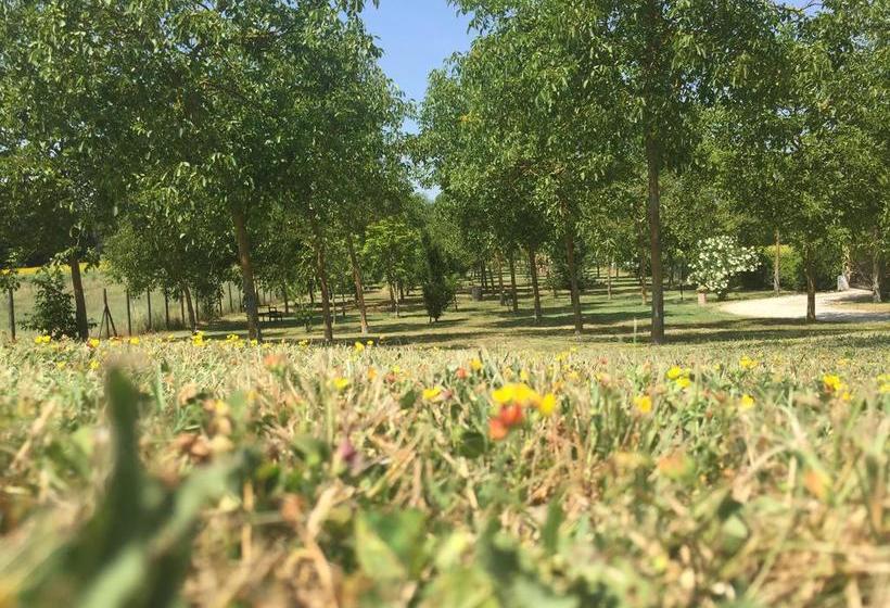 Il Noceto B&b  | Ripe | Ancona | Italia 17