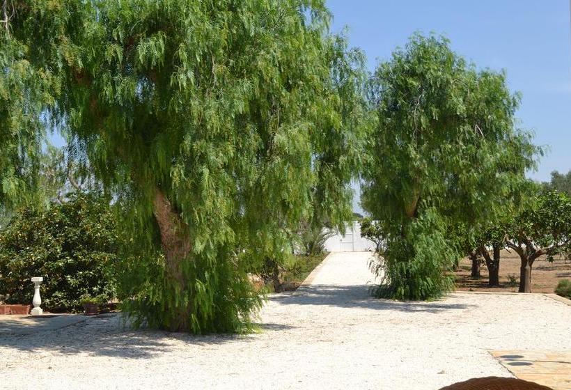 Bed and Breakfast Tenuta Arate  | Gallipoli | Lecce | Italia 7