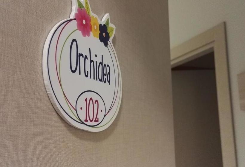 Hotel In Fiore  | Lavello | Potenza | Italia 12