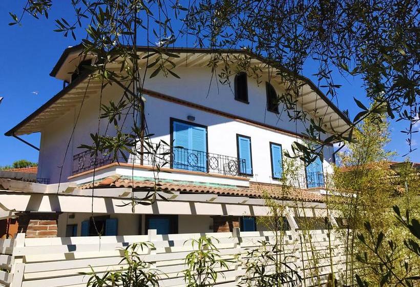 Bed and Breakfast Cytrus Rooms Marina di Massa Massa Carrara