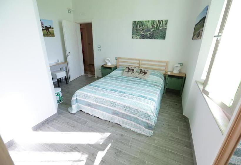 Bed and Breakfast Liberi Di Sognare  | Pisa | Pisa | Italia 18