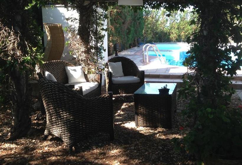 B&b A Casa Del Doc  | Tarquinia | Viterbo | Italia 8