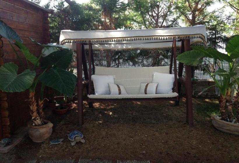 B&b A Casa Del Doc  | Tarquinia | Viterbo | Italia 9