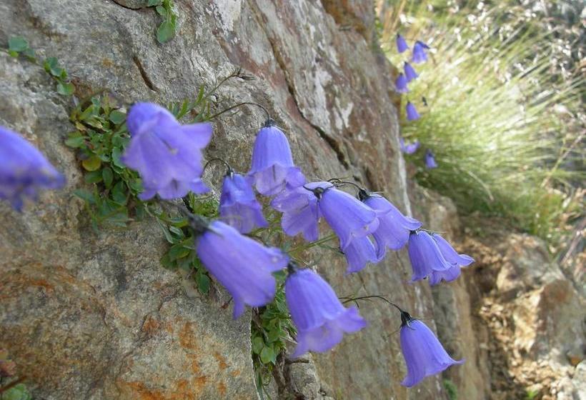 La Fucina B&b  | Temu | Brescia | Italia 12