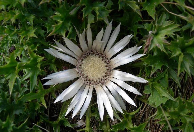 La Fucina B&b  | Temu | Brescia | Italia 6