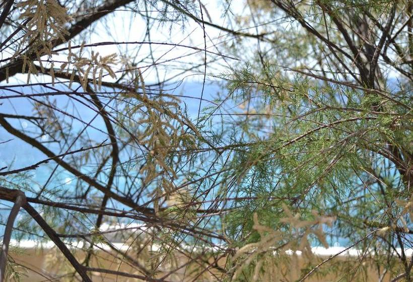 Bed and Breakfast Incanto Delle Ninfe  | Taranto | Taranto | Italia 14