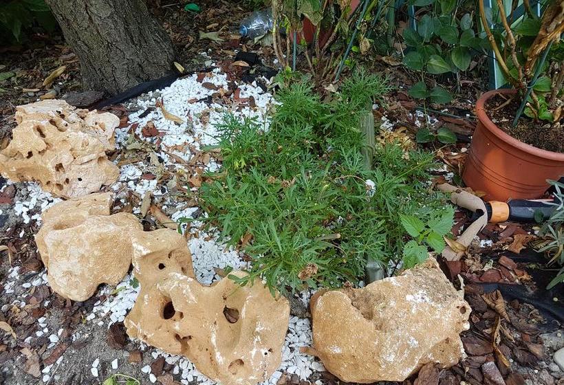 B&b La Stalletta  | Modena | Modena | Italia 3