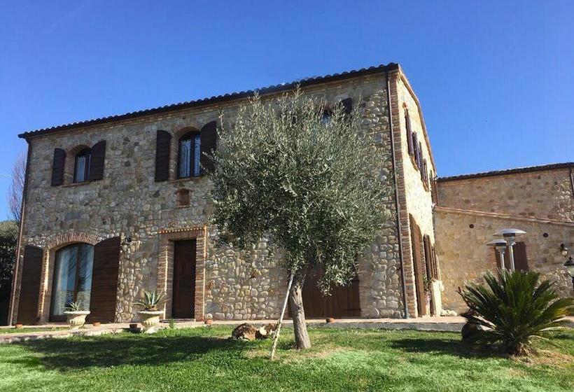 Bed and Breakfast Il Sogno Tra Gli Ulivi