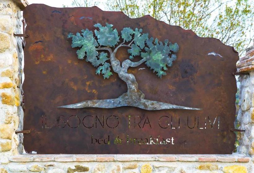 Bed and Breakfast Il Sogno Tra Gli Ulivi  | San Clemente | Rimini | Italia 1