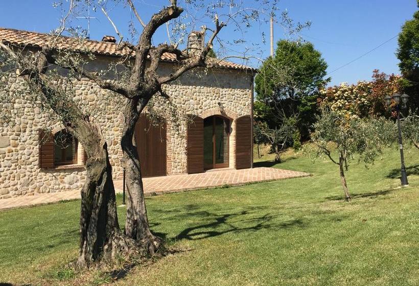 Bed and Breakfast Il Sogno Tra Gli Ulivi  | San Clemente | Rimini | Italia 2