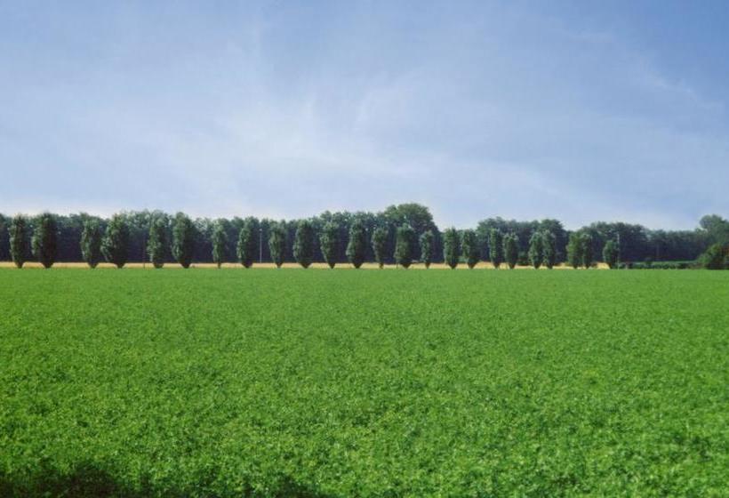 Bed and Breakfast Agriturismo Le Colombaie  | Busseto | Parma | Italia 16