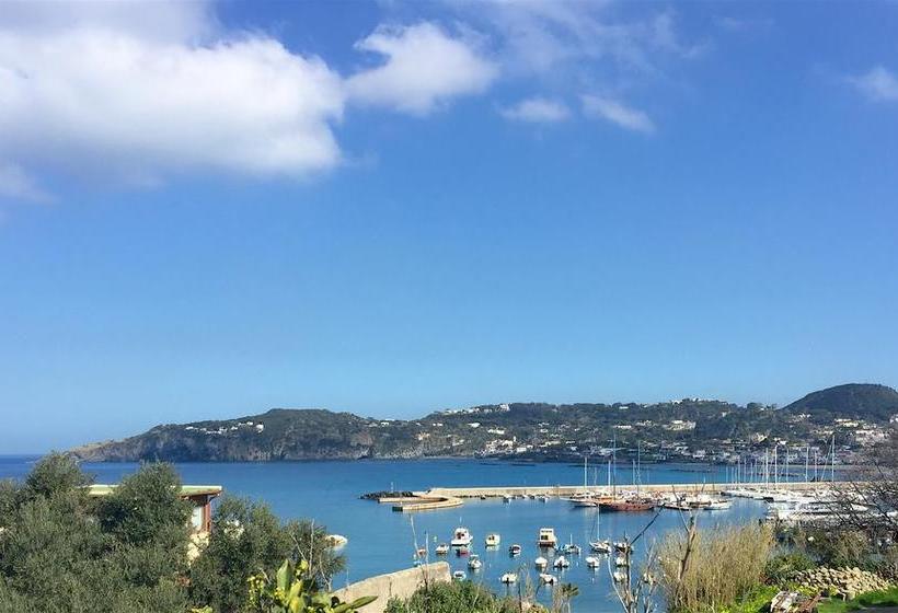 Harbour View B&b  | Ischia | Napoli | Italia 14