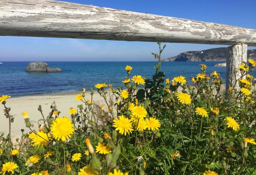 Harbour View B&b  | Ischia | Napoli | Italia 16