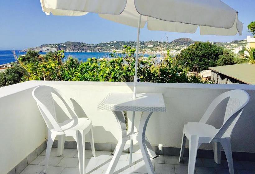 Harbour View B&b  | Ischia | Napoli | Italia 4