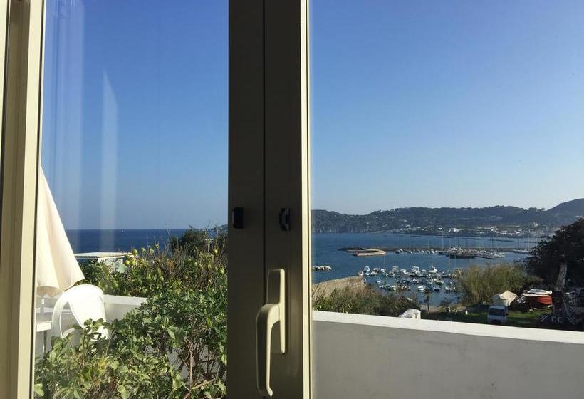 Harbour View B&b  | Ischia | Napoli | Italia 5