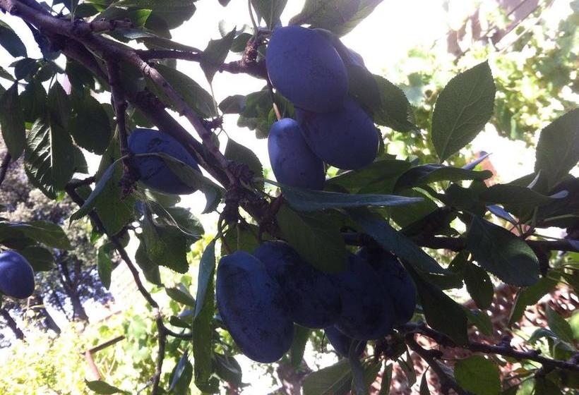 B&b Dai Nonni  | Comacchio | Ferrara | Italia 4