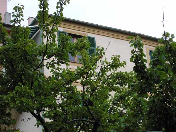 B&b Da Luca  | Bonassola | La Spezia | Italia 9