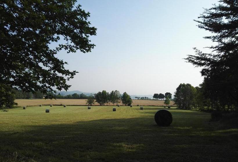 Bed and Breakfast Corte Vallio  | Desenzano del Garda | Brescia | Italia 13