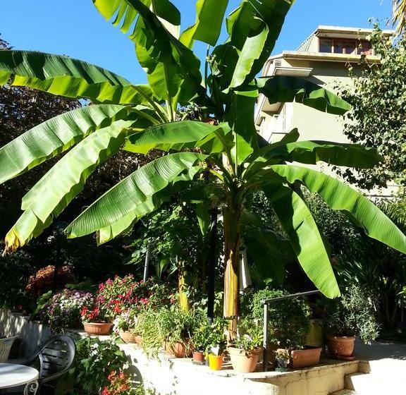 Hotel Albergo Belsito  | Fiuggi | Frosinone | Italia 11