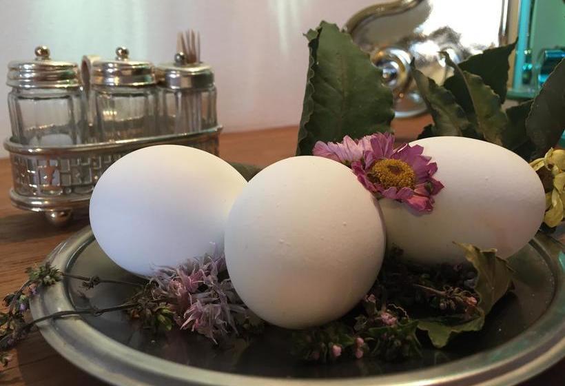 Bed and Breakfast P&g Design By Lago Welcome Enna  | Enna | Enna | Italia 11