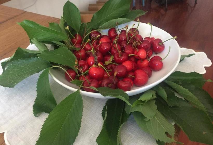 Bed and Breakfast P&g Design By Lago Welcome Enna  | Enna | Enna | Italia 4